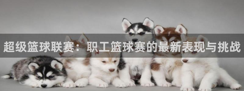 超级篮球联赛：职工篮球赛的最新表现与挑战