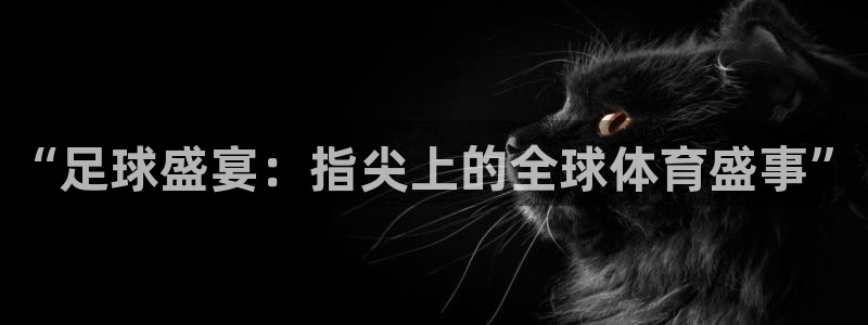 “足球盛宴：指尖上的全球体育盛事”