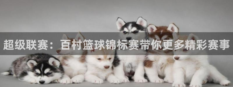 超级联赛：百村篮球锦标赛带你更多精彩赛事