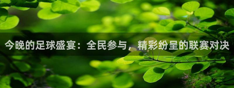 今晚的足球盛宴：全民参与，精彩纷呈的联赛对决