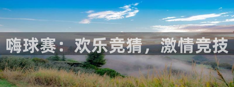 风速体育app官方下载最新版本更新内容：嗨球赛：欢乐竞猜，激