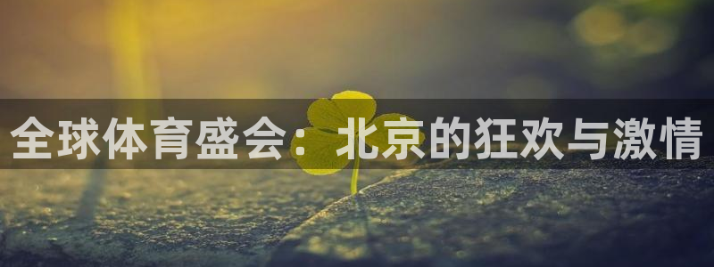 风速体育app下载安装最新版本苹果版：全球体育盛会：北京的狂