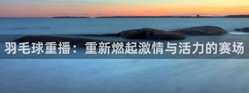 风速体育英超：羽毛球重播：重新燃起激情与活力的赛场