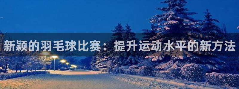 风速体育app怎么样好用吗：新颖的羽毛球比赛：提升运动水平的