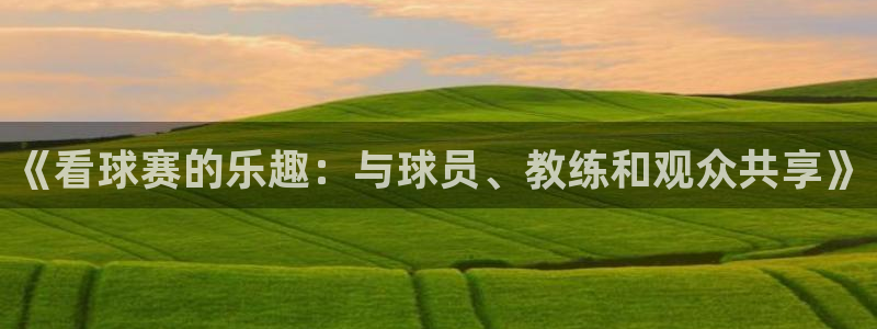 风速体育视频：《看球赛的乐趣：与球员、教练和观众共享》