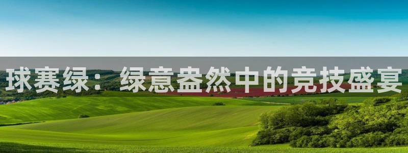 风速体育官方版最新版本更新内容