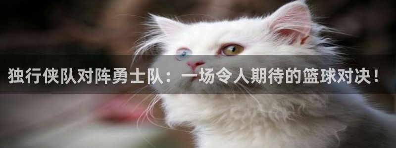 风速体育app下载：独行侠队对阵勇士队：一场令人期待的篮球对