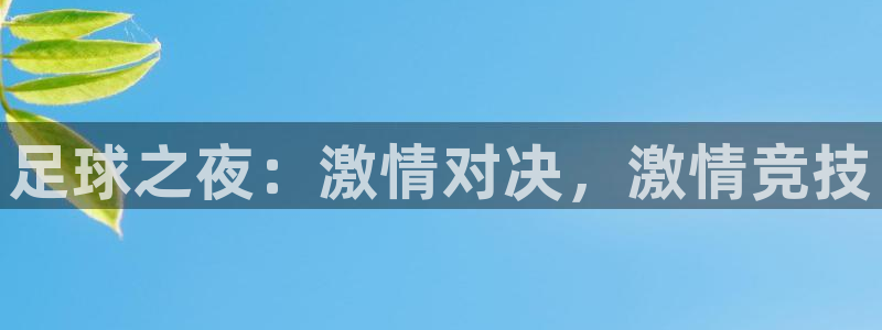 风速体育app怎么样可靠吗：足球之夜：激情对决，激情竞技