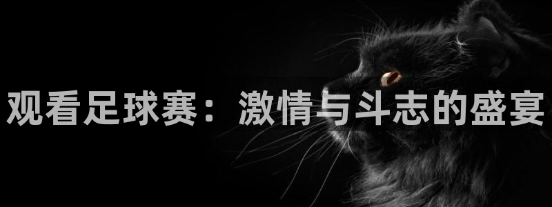 风速体育下载app：观看足球赛：激情与斗志的盛宴
