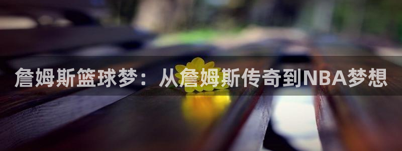 风速体育下载网址：詹姆斯篮球梦：从詹姆斯传奇到NBA梦想