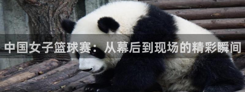 风速体育app平台入口下载：中国女子篮球赛：从幕后到现场的精