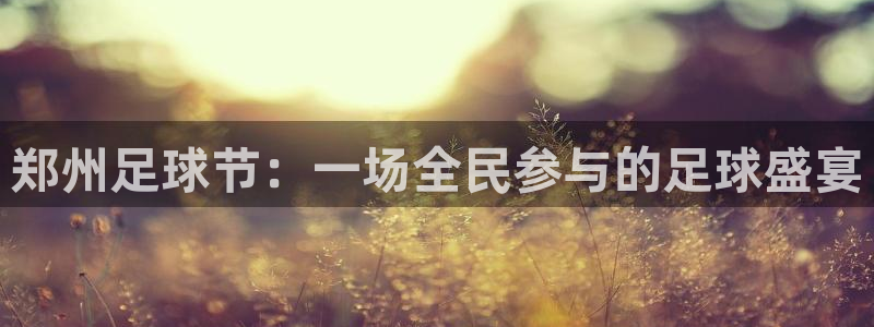 风速体育cba直播：郑州足球节：一场全民参与的足球盛宴